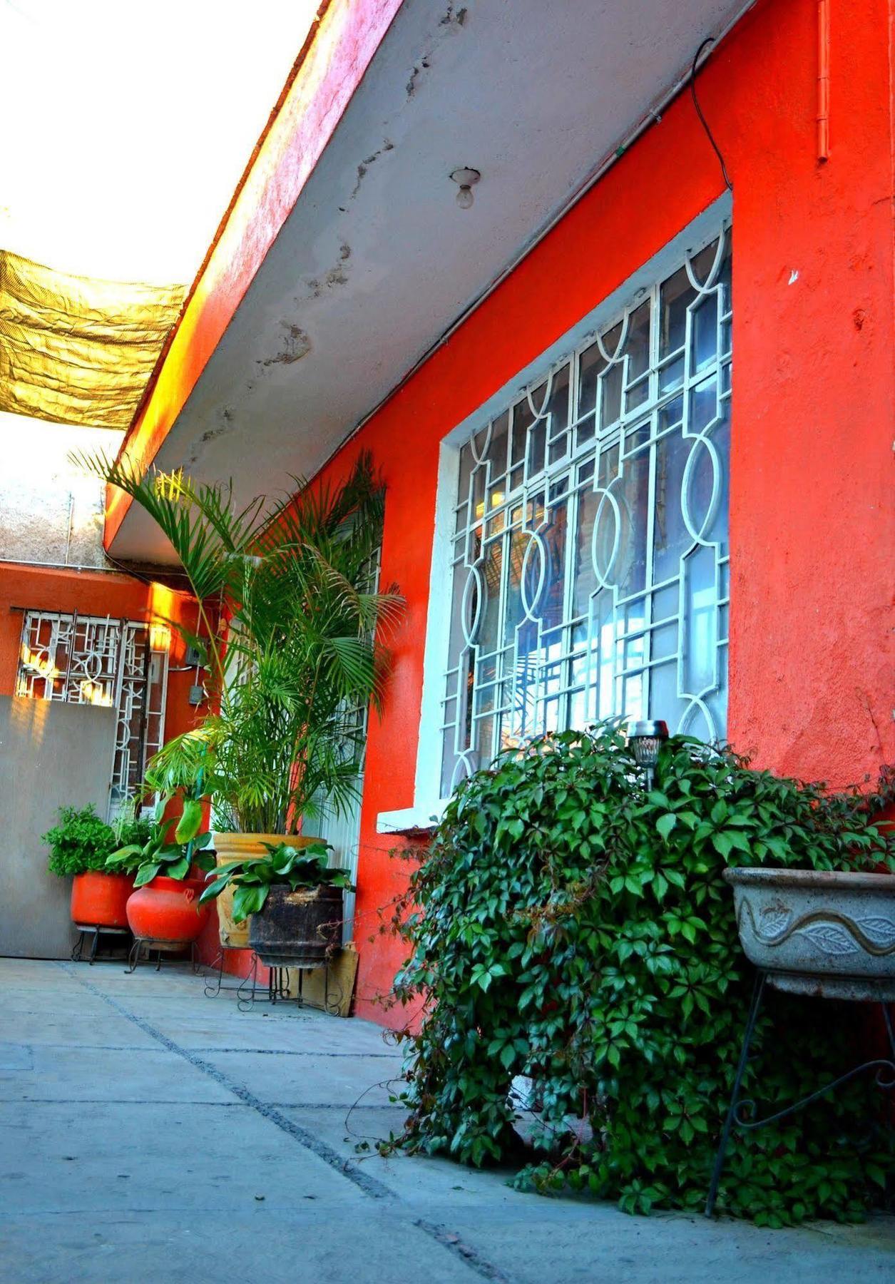 Hostal Maple Queretaro Exterior photo